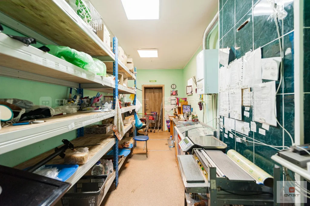 Продажа ПСН, Большие Кабаны, Лаишевский район, ул. ... - Фото 8