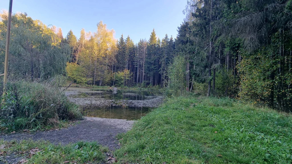 Продается земельный участок 6 сот. - Фото 2