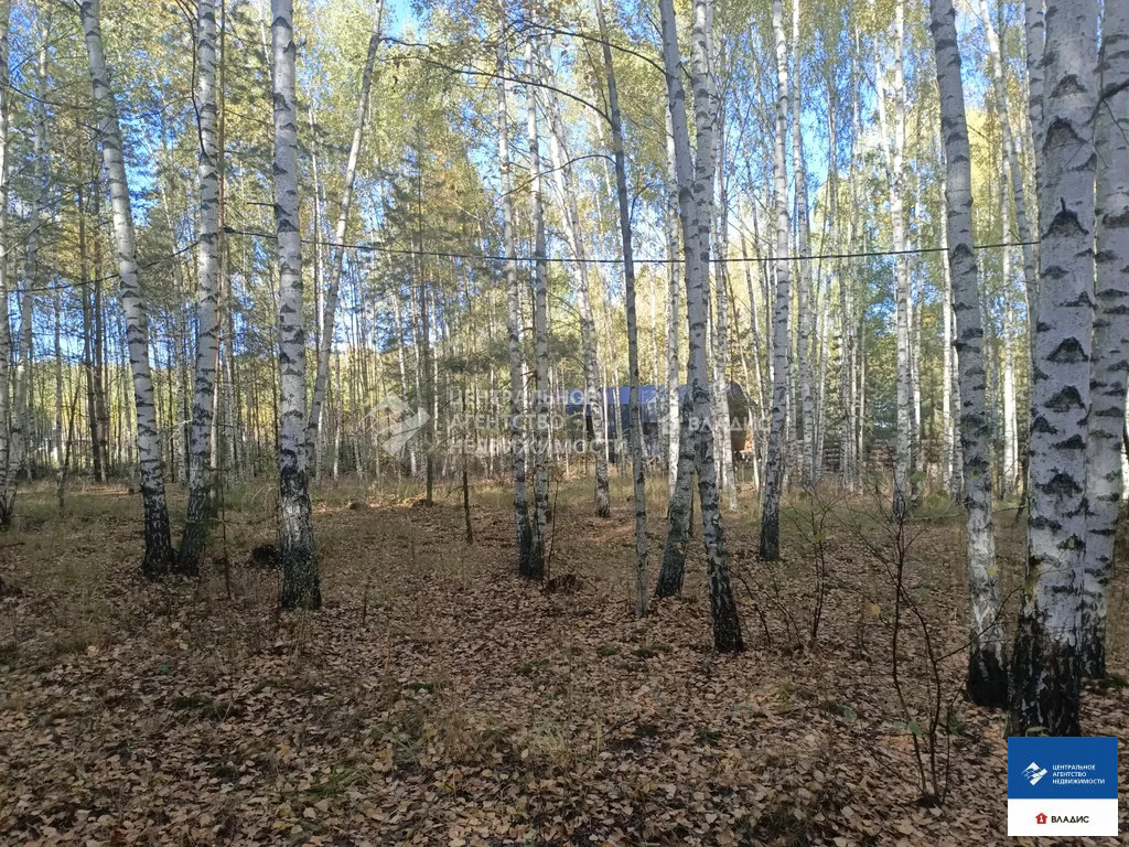 Продажа участка, Спасский район - Фото 11