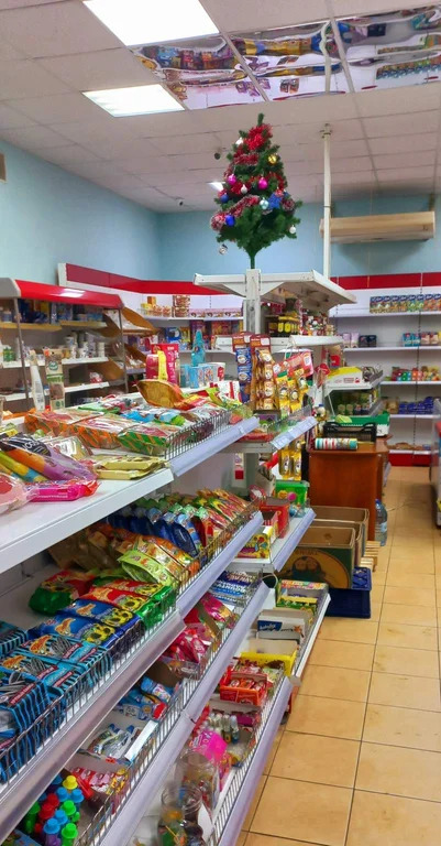 Торговое помещение 277.2 м2 в аренду - Фото 3