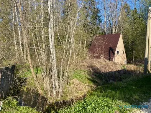 Продается участок 25 сот, ИЖС в Гатчинском р-не, п. Карташевская - Фото 2