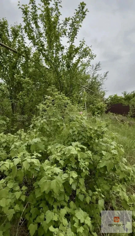 Продажа участка, Гаврилково, Верхнеуслонский район, ул. Набережная - Фото 4