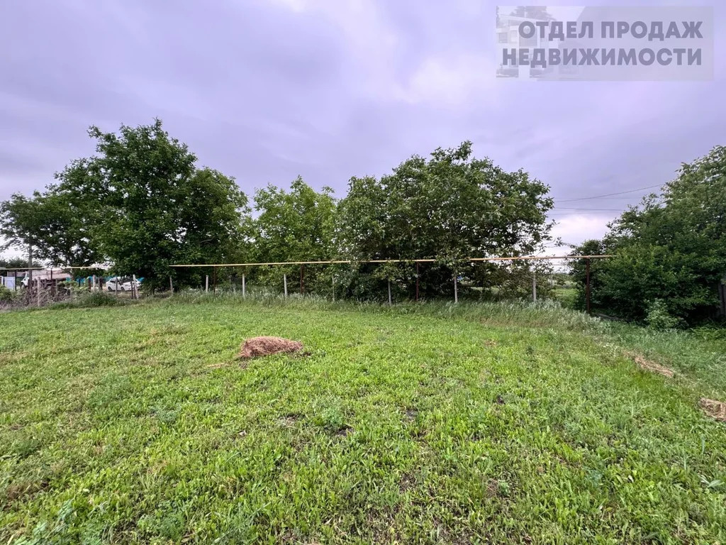 Участок - Фото 4
