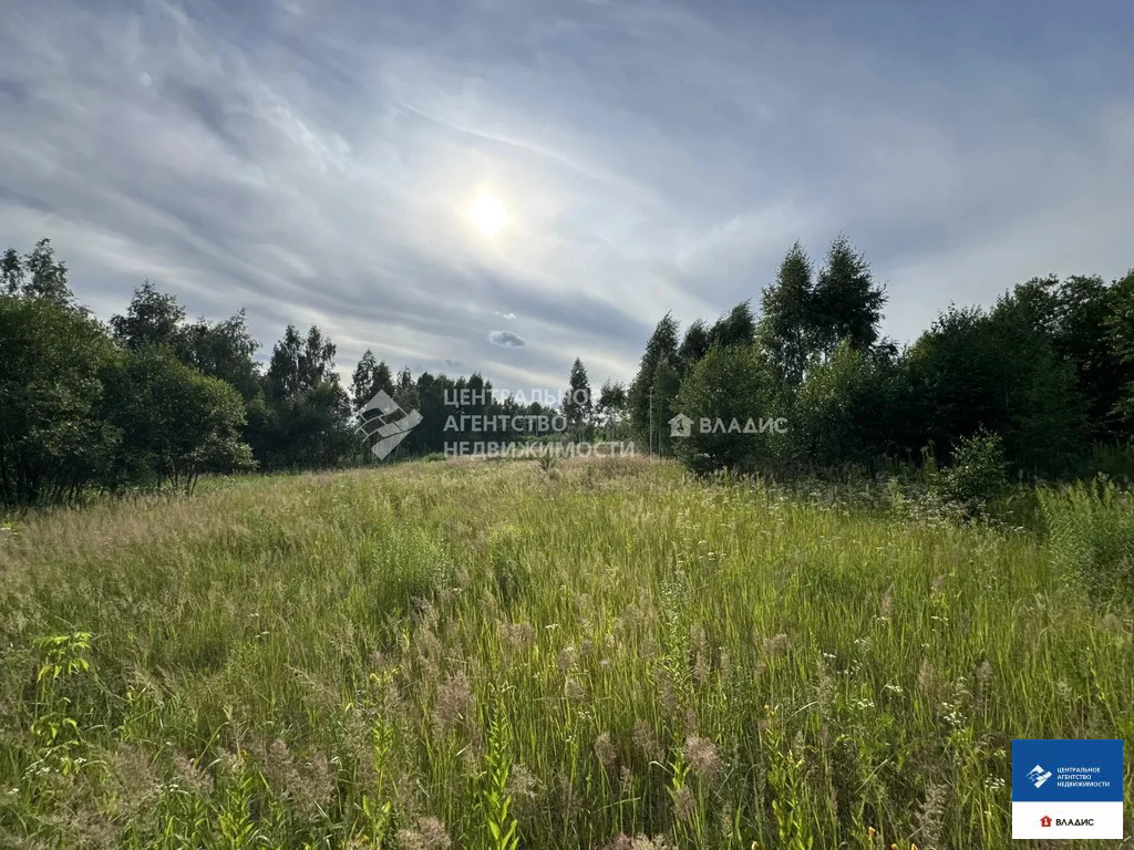 Продажа участка, Рязанский район - Фото 6