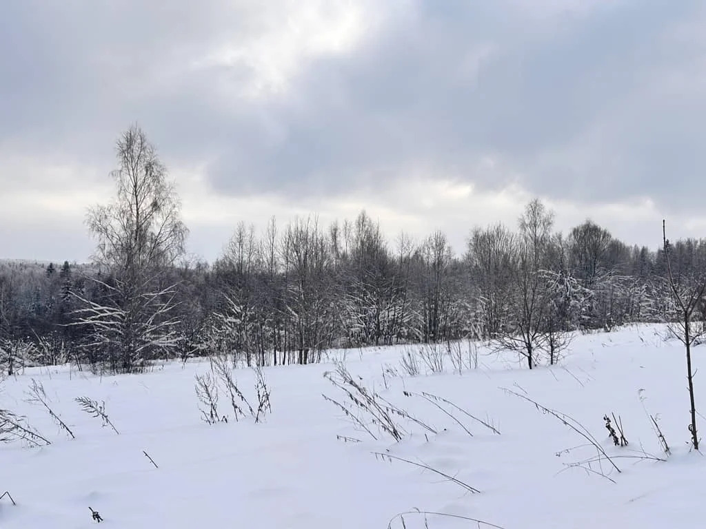 Продажа участка, Горбово, Дмитровский район - Фото 2
