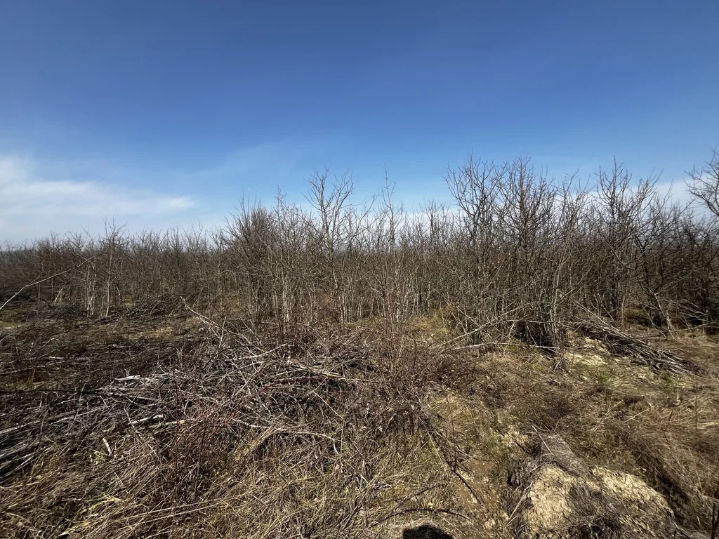 Продажа участка, Калужская, Северский район, улица Зеленая - Фото 6