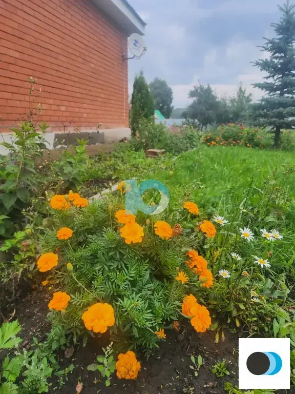 Продажа дома, Федоровка, Рассветная улица - Фото 30