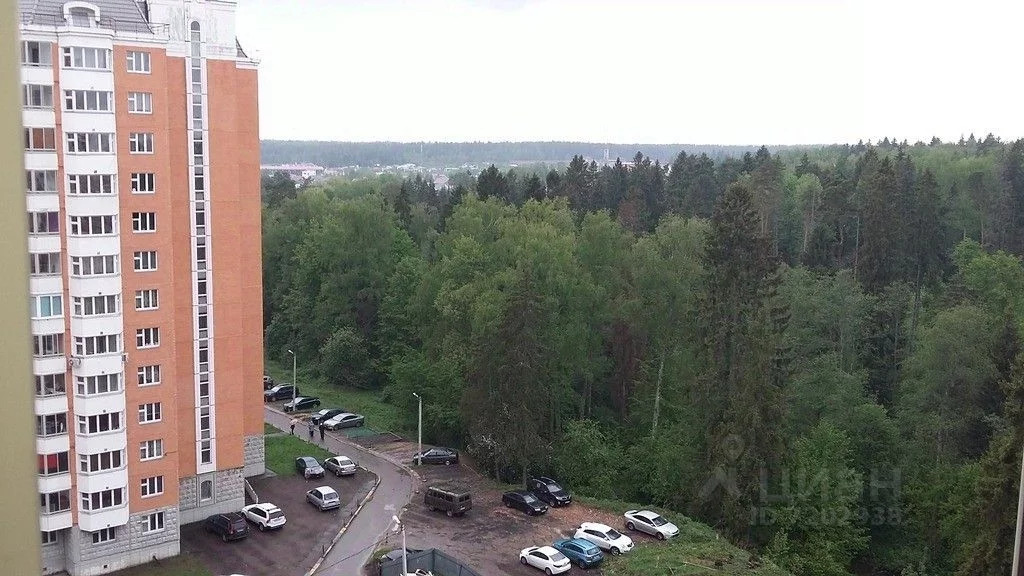 Фото голубое солнечногорский район