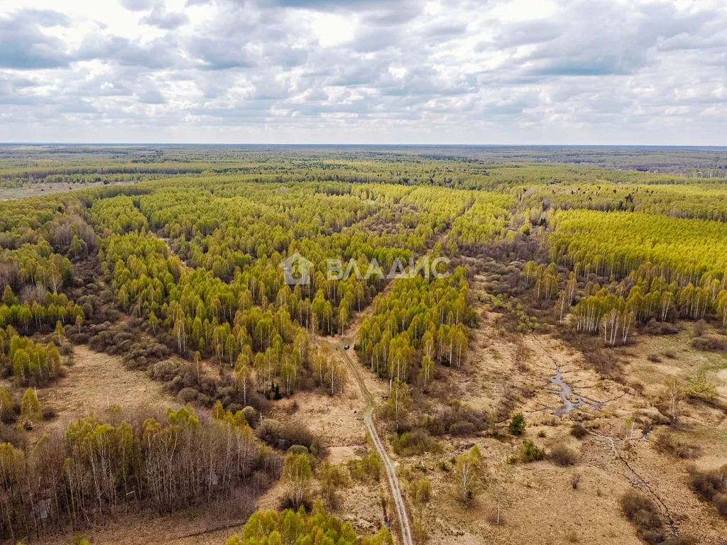 Судогодский район, деревня Кощеево, земля на продажу - Фото 0