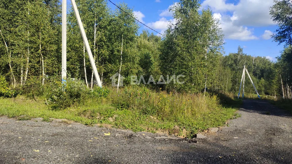 городской округ Чехов, ДНТ Васильково-2, Лесная улица,  земля на ... - Фото 3