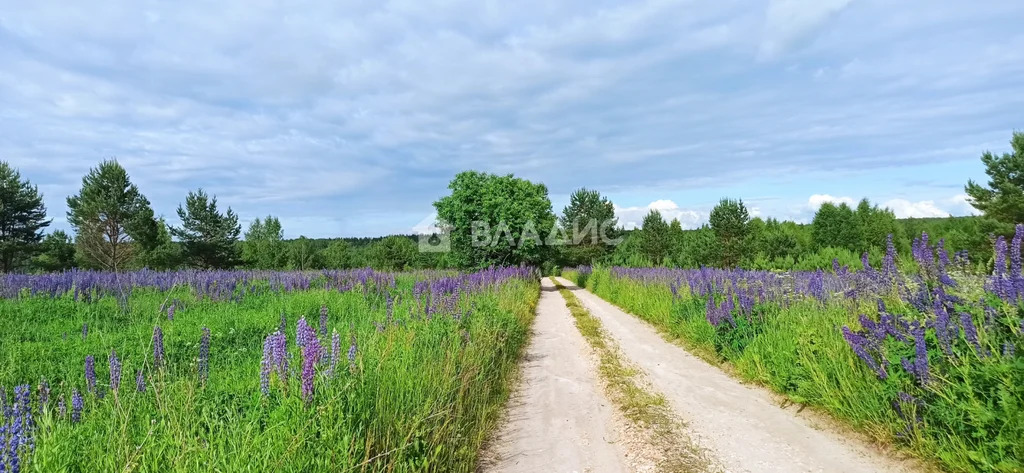 Вязниковский район, деревня Ям,  дом на продажу - Фото 15