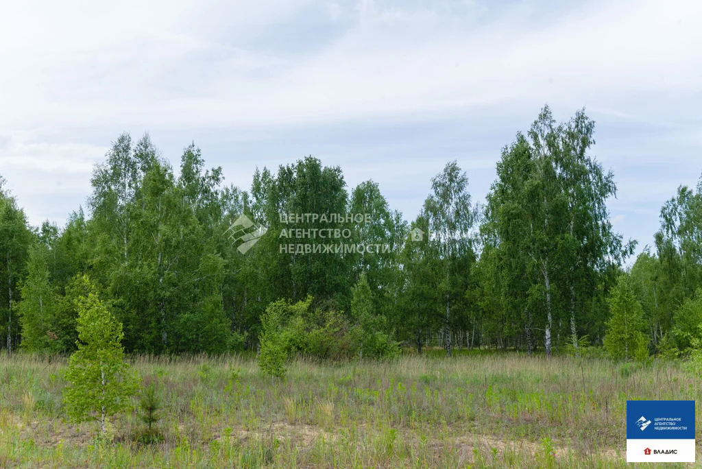 Продажа участка, Рязанский район - Фото 8