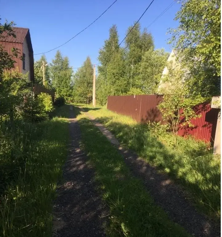Продам земельный участок - Фото 0