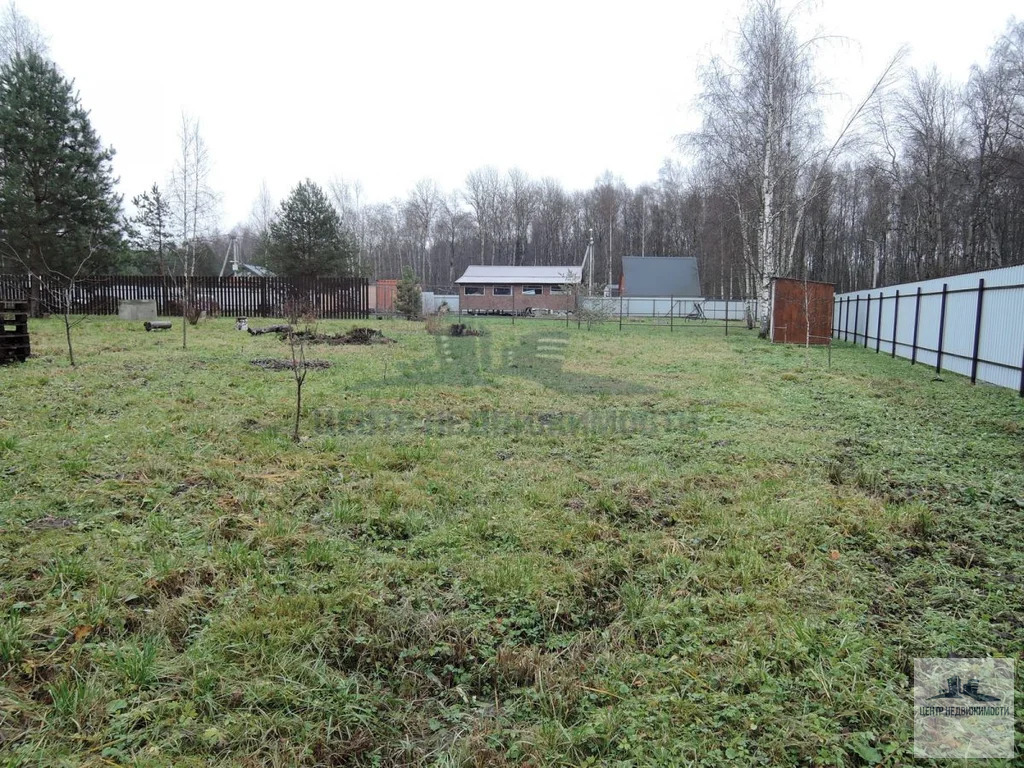 ПРОДАЕТСЯ УЧАСТОК 13.59 СОТОК С ДОМИКОМ У ЛЕСА - Фото 4