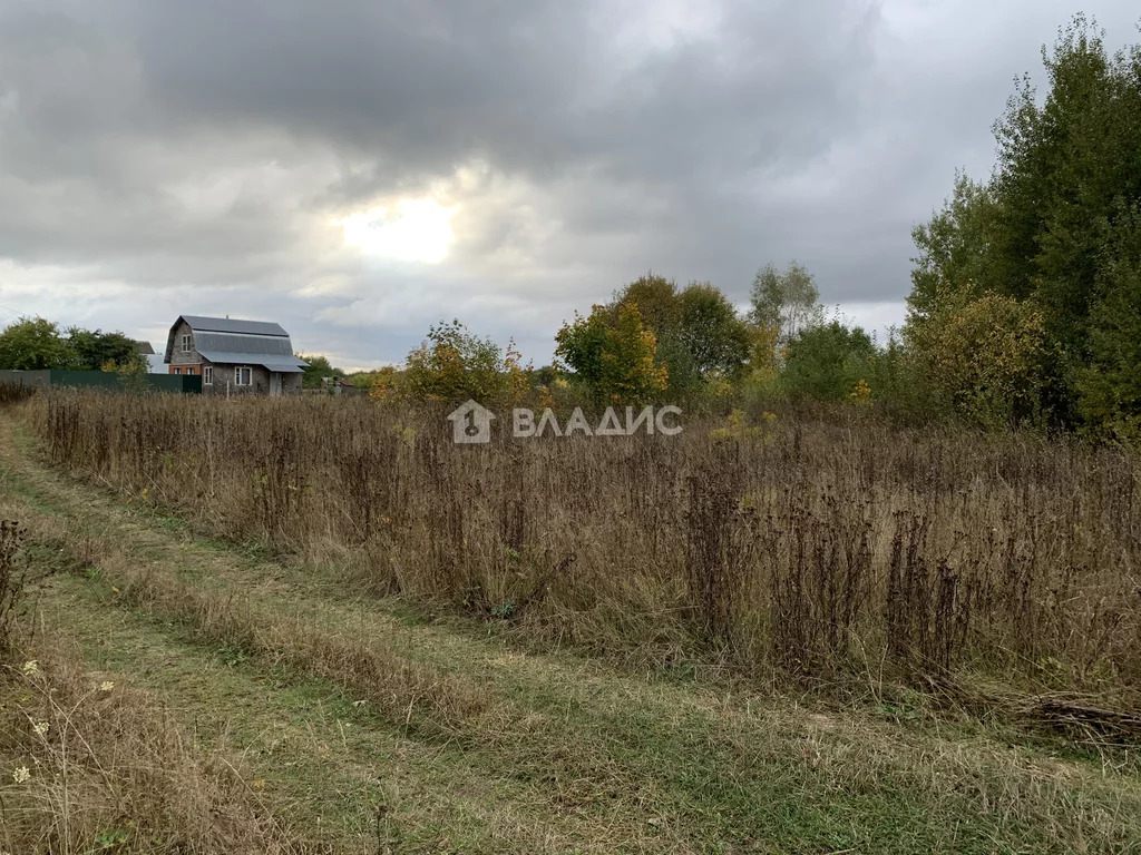 Суздальский район, деревня Сизино, земля на продажу - Фото 1