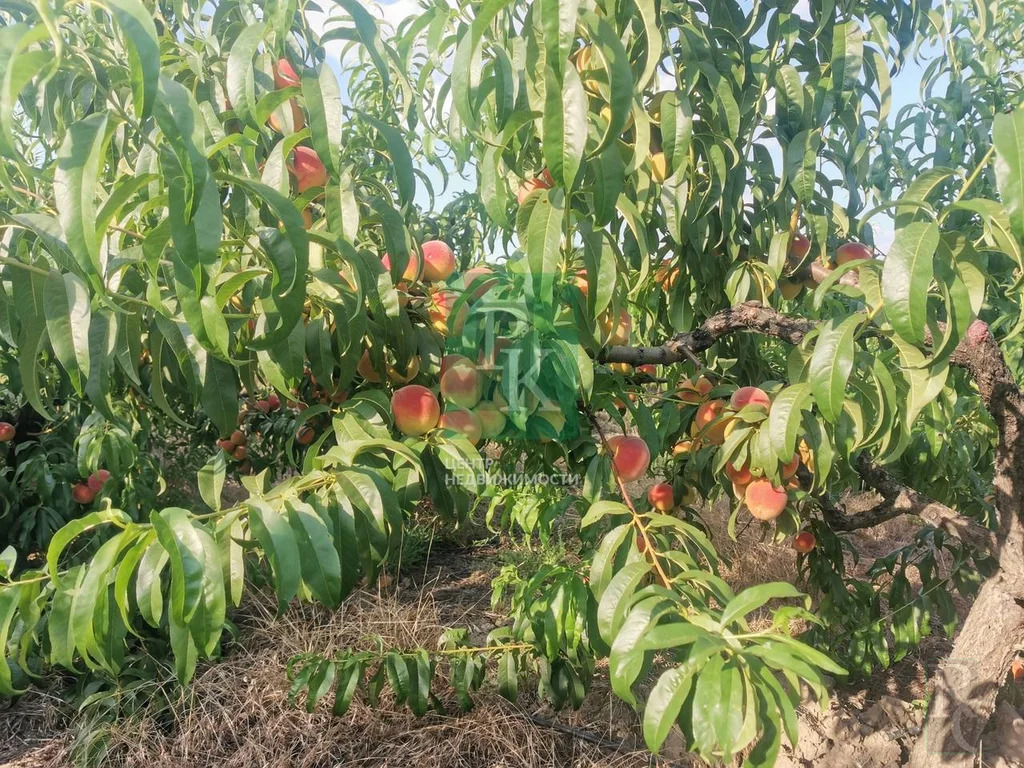 Продажа участка, Севастополь - Фото 0