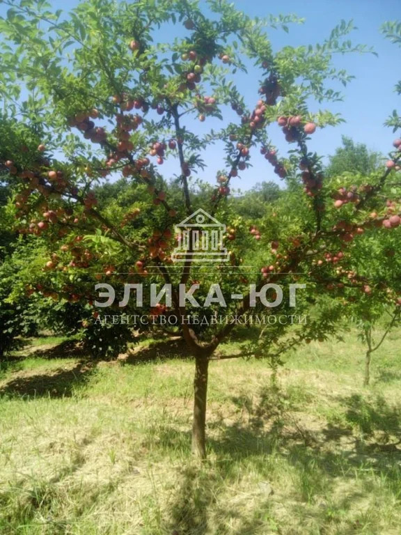 Продажа участка, Дефановка, Туапсинский район - Фото 1