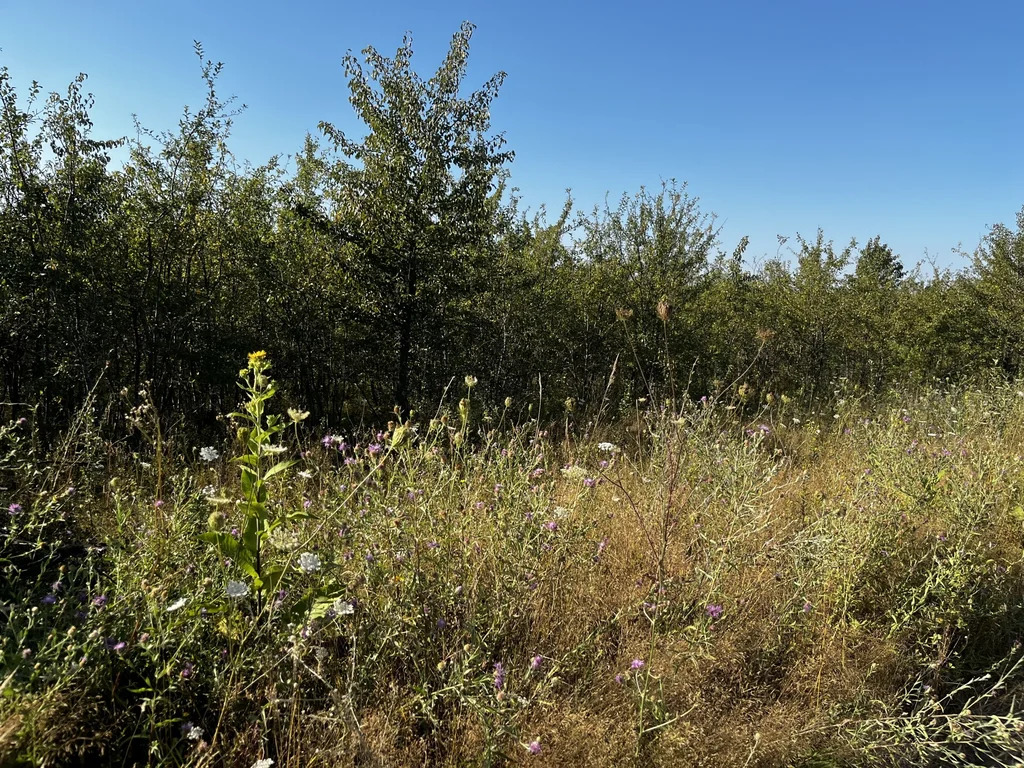 Продажа участка, Калужская, Северский район, улица Казачья - Фото 1