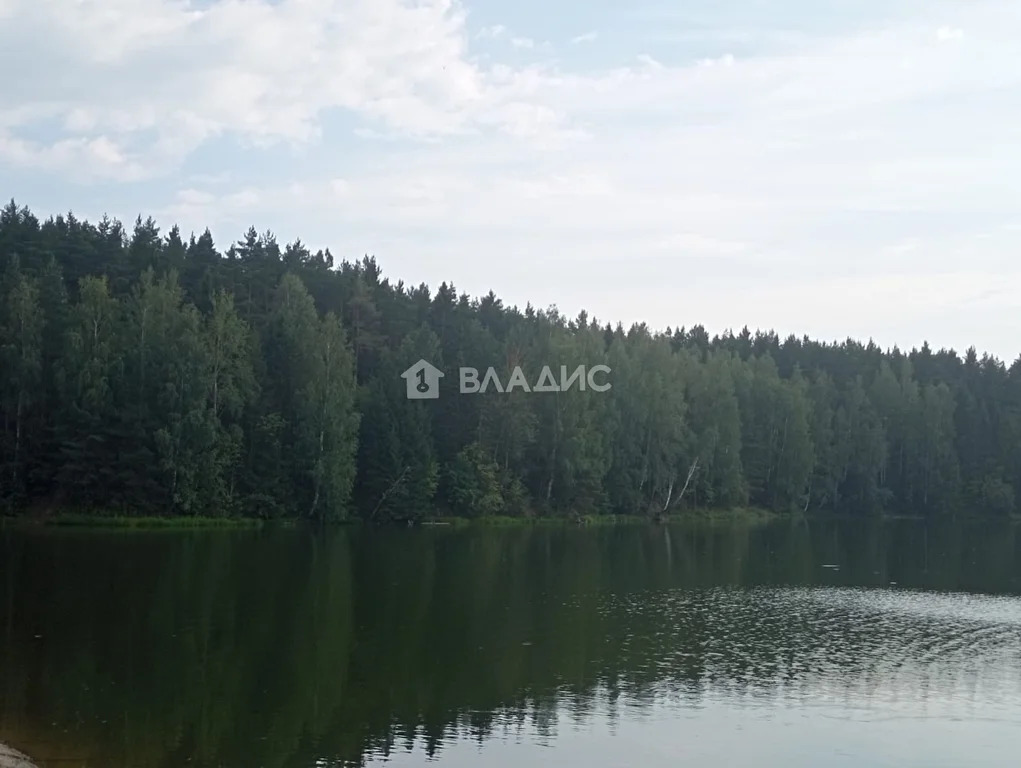 Собинский район, деревня Монаково,  земля на продажу - Фото 13