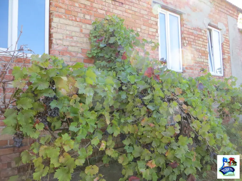 Продам дом без ремонта на берегу моря. - Фото 1