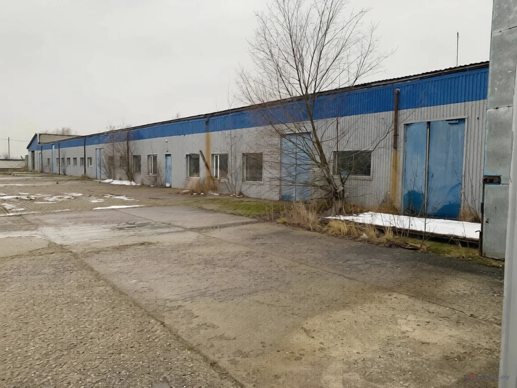 Продажа ПСН, Гурьевский район, Лесная улица - Фото 3