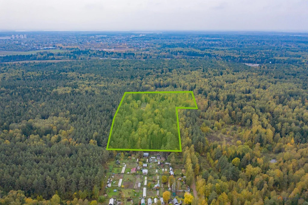 Продажа земельного участка, Лесной - Фото 4