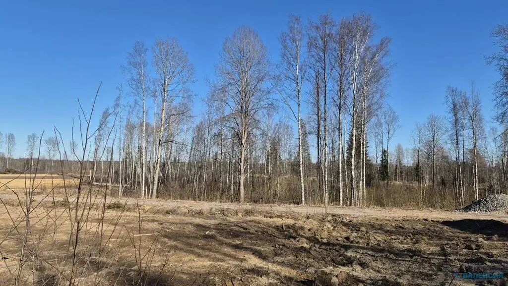 Продается ЗУ в собственности в ТСН "Вымпел" - Фото 2