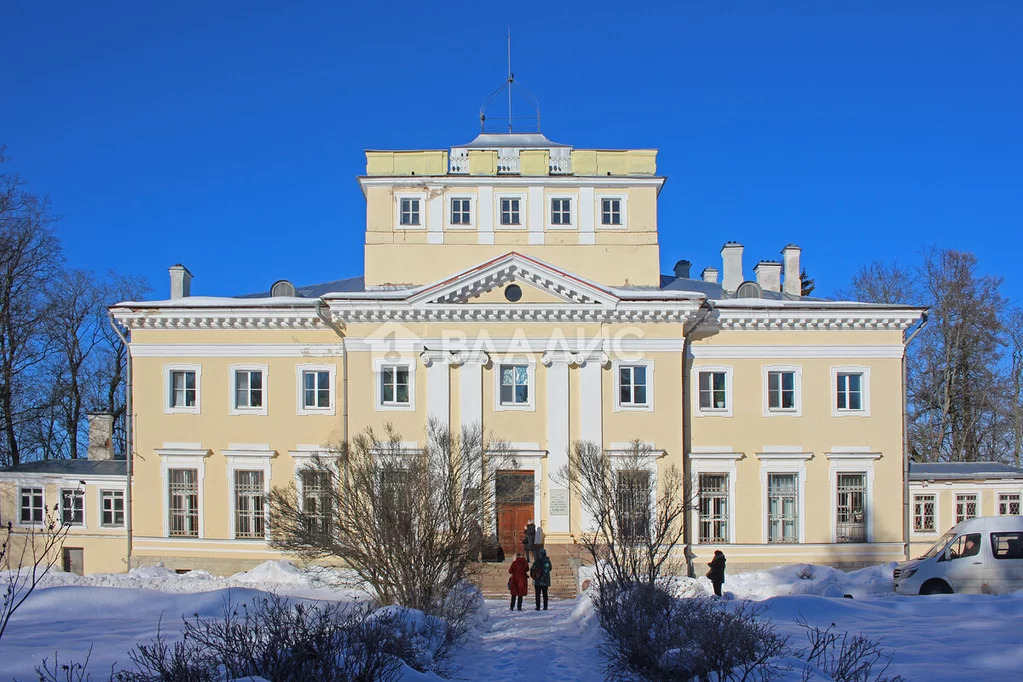 Гатчинский район, село Никольское, Меньковская улица, д.13, . - Фото 24