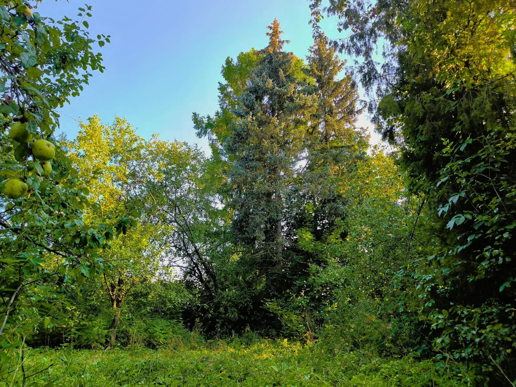 Продажа участка, Загорянский, Щелковский район, ул. Наречная - Фото 1