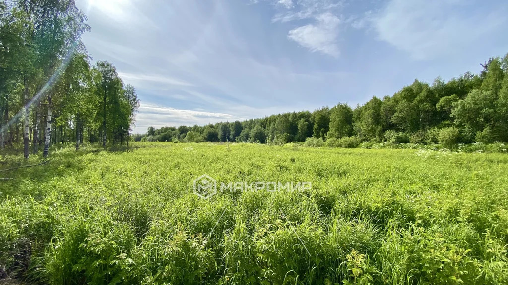 Продажа участка, Талаги, Приморский район - Фото 4