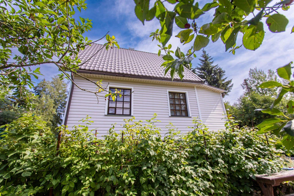 Дача у Вуоксы, всего 200 метров до воды – живите ближе к природе! - Фото 7