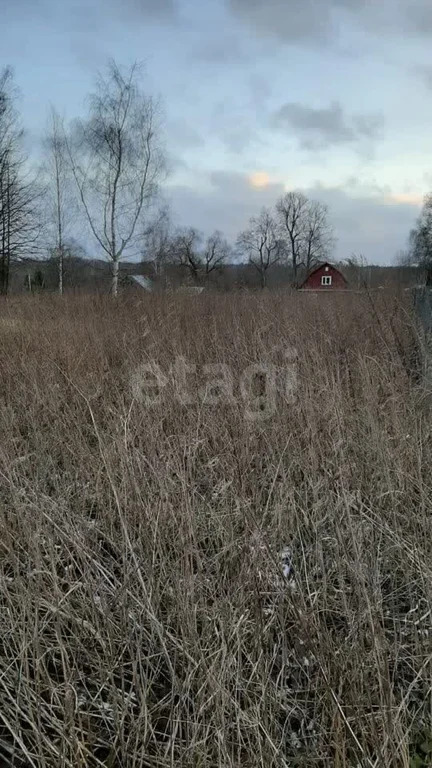 Продажа участка, Васильевское, Волоколамский район - Фото 4