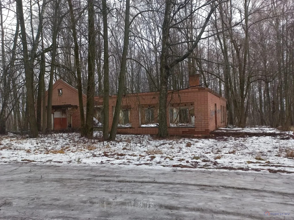 Продажа земельного участка, Мачулы-1, Починковский район - Фото 0