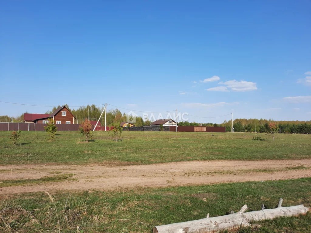 Судогодский район, деревня Дорофеево,  земля на продажу - Фото 8