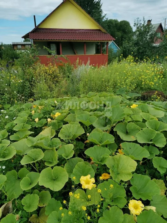 Продажа дома, Новосибирск, с/о Восток - Фото 3