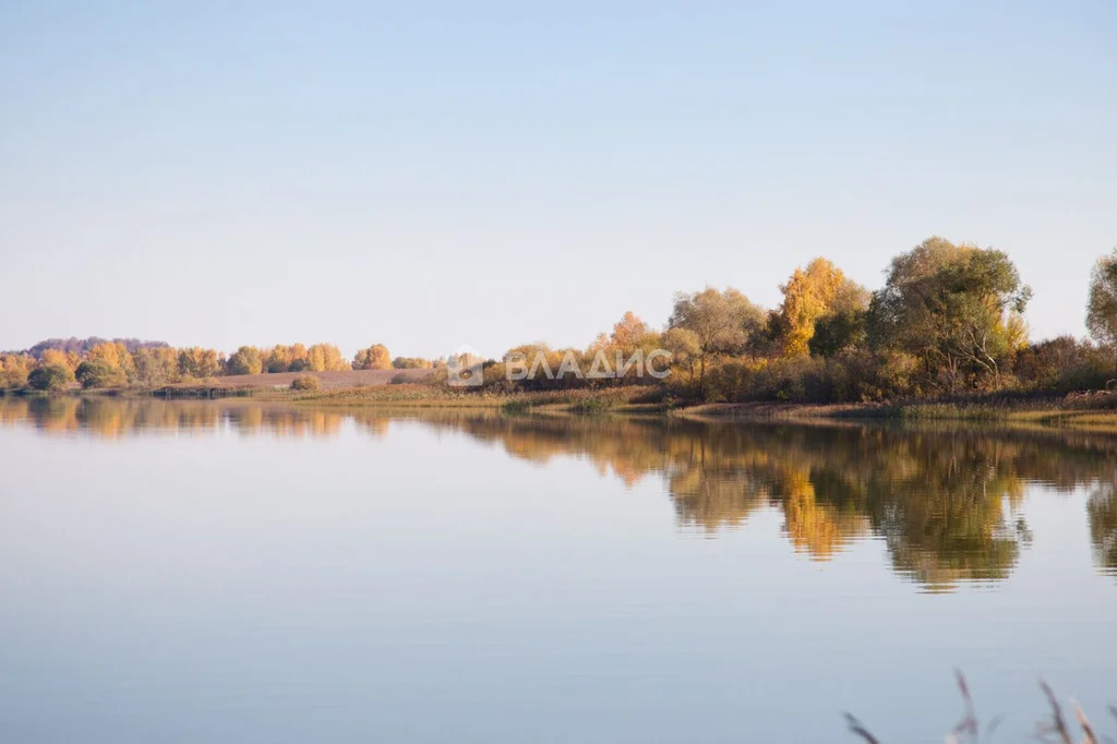 Собинский район, село Бабаево, Спасская улица,  земля на продажу - Фото 9