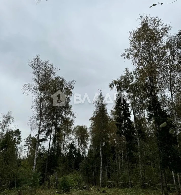 городской округ Солнечногорск, село Алабушево, микрорайон Дедёшино, ... - Фото 8