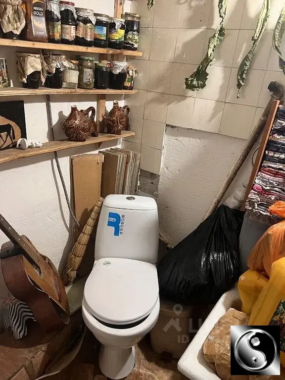 Снять комнату 98.0/12-12м 1-й Колобовский пер., 27/3С2, Москва, ЦАО, ... - Фото 19