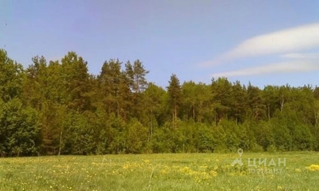 Деревня воронино. Деревня воронино костромская область. Деревня воронино томская область. Пашня томская область. Клинский р-н, д.