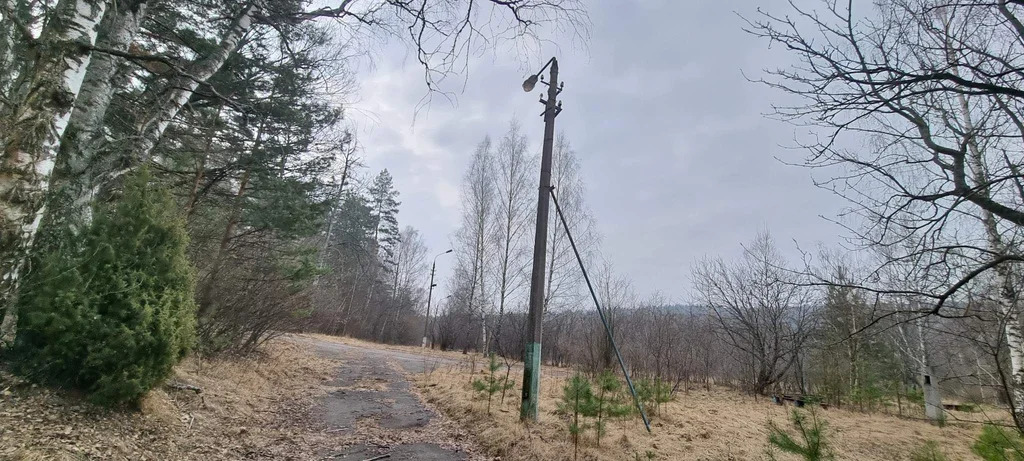 База отдыха "Лесные дали" - Фото 16