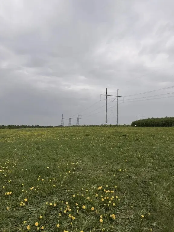 Купить участок 10.0 сот. Татарстан респ., Зеленодольский район, ... - Фото 6