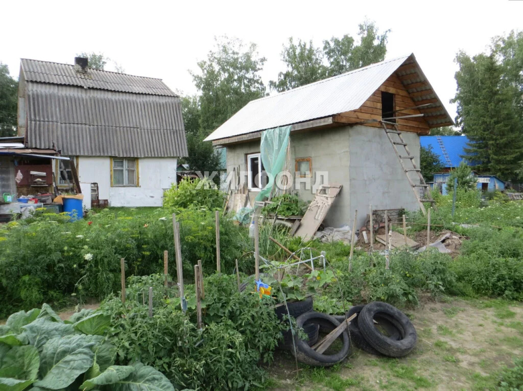 Продажа дома, Новосибирск - Фото 4