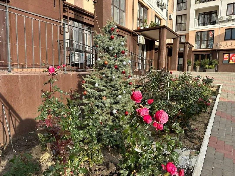 Продажа квартиры, Геленджик, Больничный пер. - Фото 12