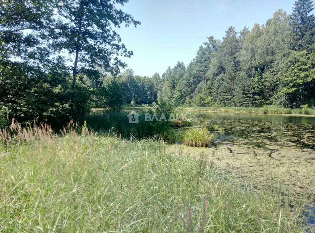 Судогодский район, село Спас-Беседа,  земля на продажу - Фото 0