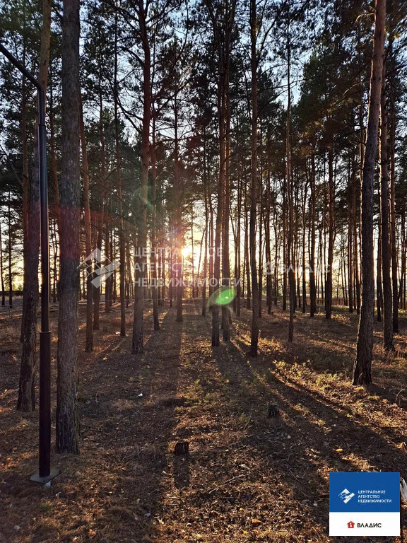 Продажа участка, Рязанский район - Фото 3