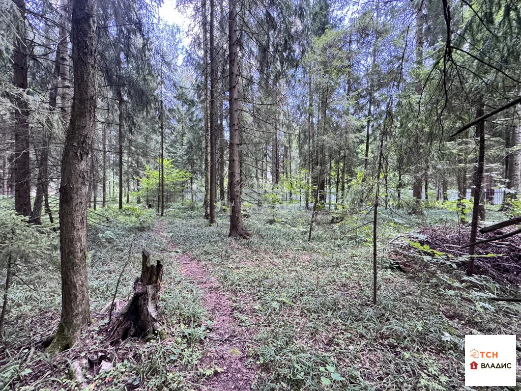 Продажа участка, Могильцы, Лотошинский район - Фото 5