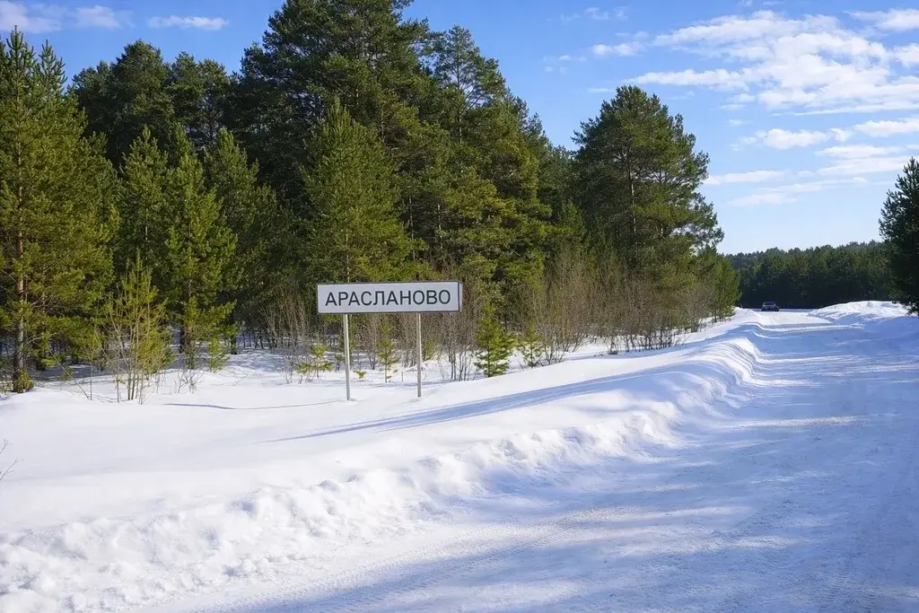 Дом в п. Арасланово - Фото 3