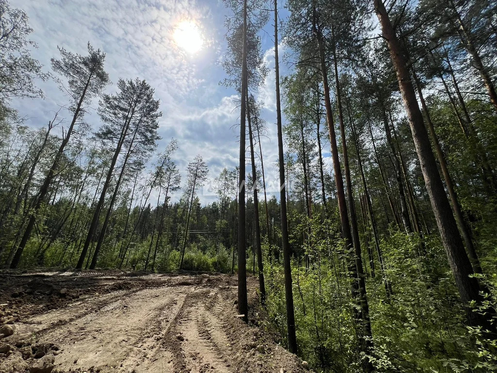 Всеволожский район, деревня Васкелово, Лемболовская улица,  земля на ... - Фото 7