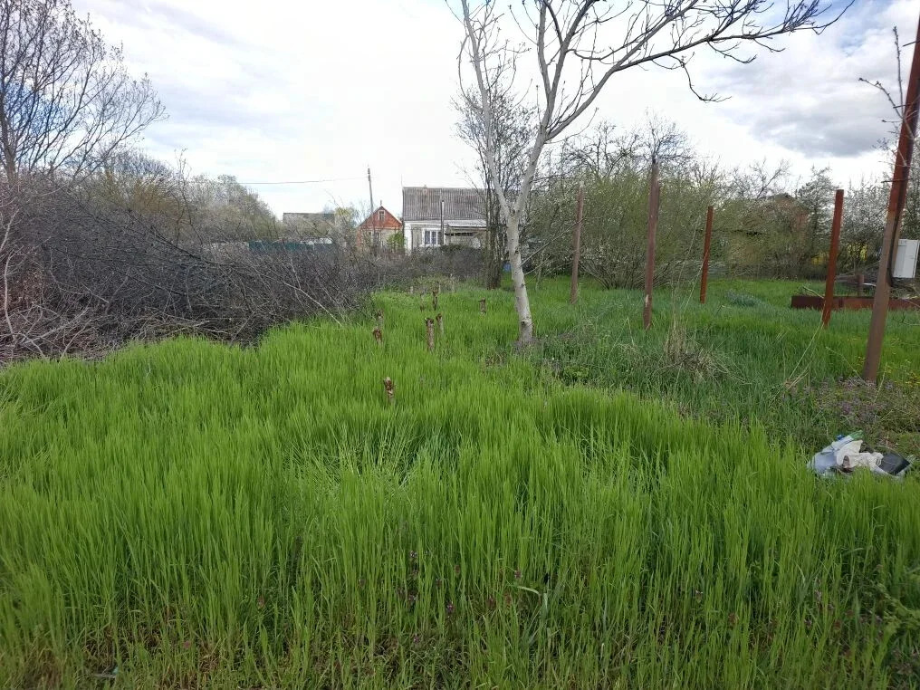 Продажа участка, Афипский, Северский район - Фото 1