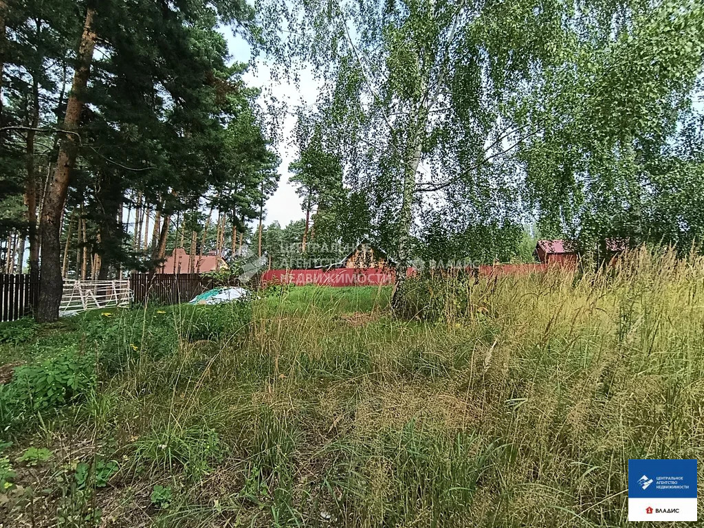 Продажа участка, Тырново, Шиловский район, ул. Зеленая - Фото 8